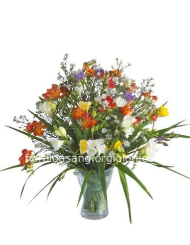 Bouquet di fresie