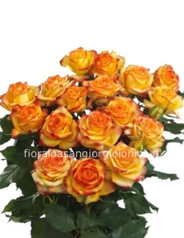 Rose arancio a steli