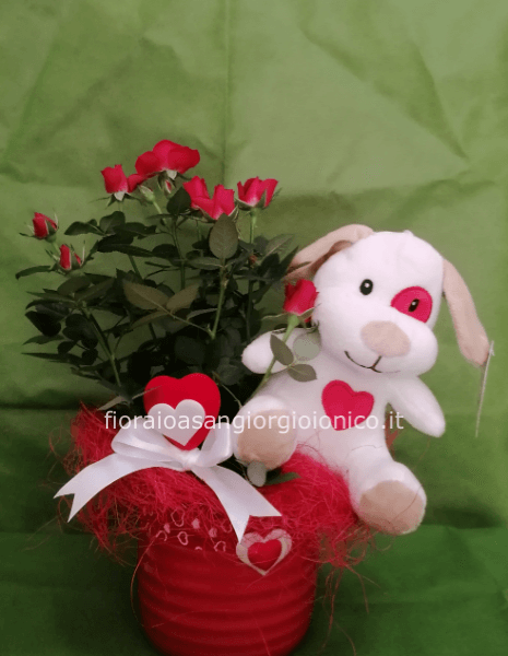 Pianta di Roselline con peluche in vaso di ceramica.